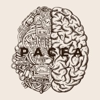 Pacea logo - Similar company to Zorgkompaz Consultancy