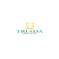 Triada Service logo - Similar company to Triada Solutions