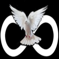 InfinityVerse logo - Similar company to Upcomingverse Tech Labs