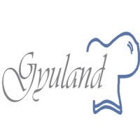 Gyuland SRL logo - Similar company to Nearshoring Consulting Services & Solutions
