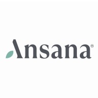 Ansana | انسنه logo - Similar company to Speedwaves