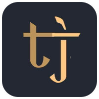 Tvisha Jewlz logo - Similar company to Mytriplab