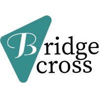 Bridgecross AG logo - Similar company to Aiconomy Ag
