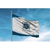 Platinum Executive Cars Private Limited logo - Similar company to Platinum Executive Consultancy Private Limited