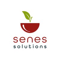 Senes Solutions logo - Similar company to Finense