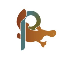 Paradoxus Australia logo - Similar company to Psa Engineering Services