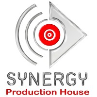 Synergy Production House (Pty) Ltd logo - Similar company to Via.Trade
