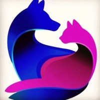 VetSim Veteriner Kliniği logo - Similar company to Hospitium Veteriner Kliniği