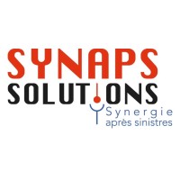 SYNAPS SOLUTIONS logo - Similar company to Sfias - Service Français D'Intervention Après Sinistre