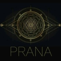 PRANA logo - Similar company to Association Des Diplômés De L'Ecole Supérieure De Banque (Adeb)