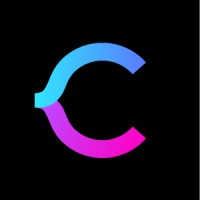 CodingSight logo - Similar company to Codesubmit