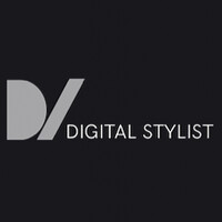 Digital Stylists logo - Similar company to Benki Benefícios