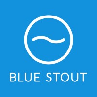 BlueStout.com - Ecommerce Experts logo - Similar company to Upwrd