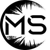 MS Performance Group - Mathieu Schmidt logo - Similar company to Ms Performance Group - Mathieu Schmdit