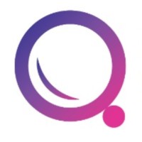 Queues for Outsourcing & Consultation logo - Similar company to Point Solution