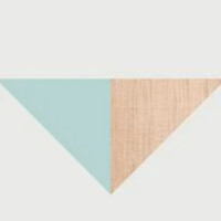 Tasmanian Timber logo - Similar company to Drispace