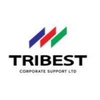 Tribest Corporate Support LTD logo - Similar company to Vic Lawrence & Associates Limited