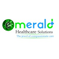 Emerald Healthcare Solutions logo - Similar company to Alvarez Cpa Inc