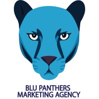 Blu Panthers Consulting logo - Similar company to Blue Nomad Foundation