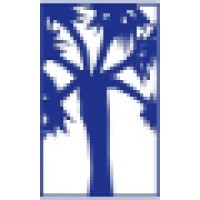 Palmetto Oral and Maxillofacial Surgery