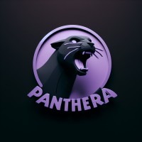 Panthera Partners logo - Similar company to Pantera Dmc