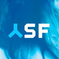 Star Ferry Consulting Ltd. logo - Similar company to Arrow Ecs Hungary
