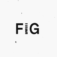 FIG logo - Similar company to Higher Pixels