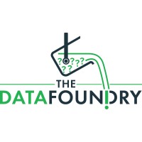 The Data Foundry logo - Similar company to Data Agility