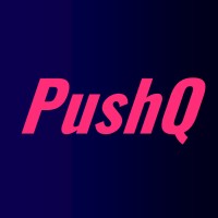 PushQuantum logo - Similar company to Qubig Gmbh