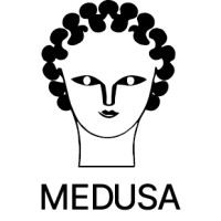 Medusa logo - Similar company to Numcad Gmbh
