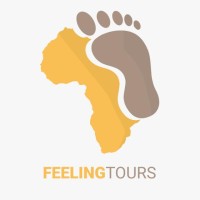 Feelingtours logo - Similar company to Stichting Pim