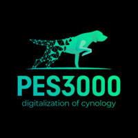 PES3000 logo - Similar company to Influenz.Cz