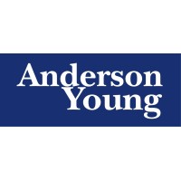 Anderson Young International logo - Similar company to Triple Edge Solutions