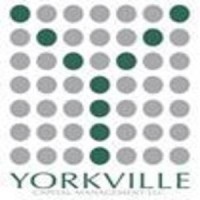 Yorkville Capital Management, LLC logo - Similar company to Roundhill Investments