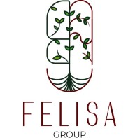 Felisa Group logo - Similar company to Felisa
