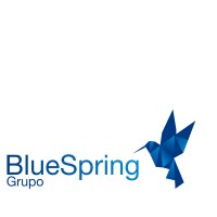 Grupo BlueSpring logo - Similar company to Almapoc - Contabilidade E Serviços Às Empresas