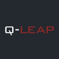 Q-Leap Networks