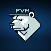 FVM systems logo - Similar company to Robolove.Ai Inc.