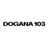 Dogana 103 logo - Similar company to Timing Logistics