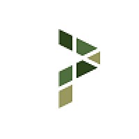 Pound Professional Services Ltd