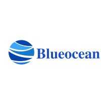 BlueoceanDigital India Private Limited logo - Similar company to Sudoboat