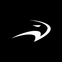 FlyingEagle Sporting Goods logo - Similar company to Roces