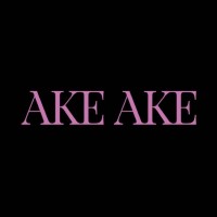 AKE AKE logo - Similar company to International Network System Co., Ltd.