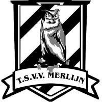 TSVV Merlijn Tilburg logo - Similar company to Tsvv Merlijn