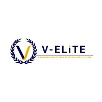 V-ELITE logo - Similar company to Dc-Knowing Cga