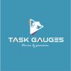 Task Gauges logo - Similar company to S4S Engineering Solutions