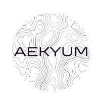 Aekyum logo - Similar company to Litethink Ai