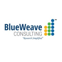 BlueWeave Consulting logo - Similar company to Cioinsights