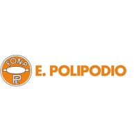 ENRICO POLIPODIO S.R.L. logo - Similar company to Ec Quadro Srl