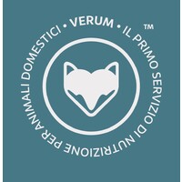 Verum Srl logo - Similar company to Nscloud Srls - Società Informatica